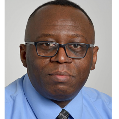 Prof. Dr. Celestine Iwendi
